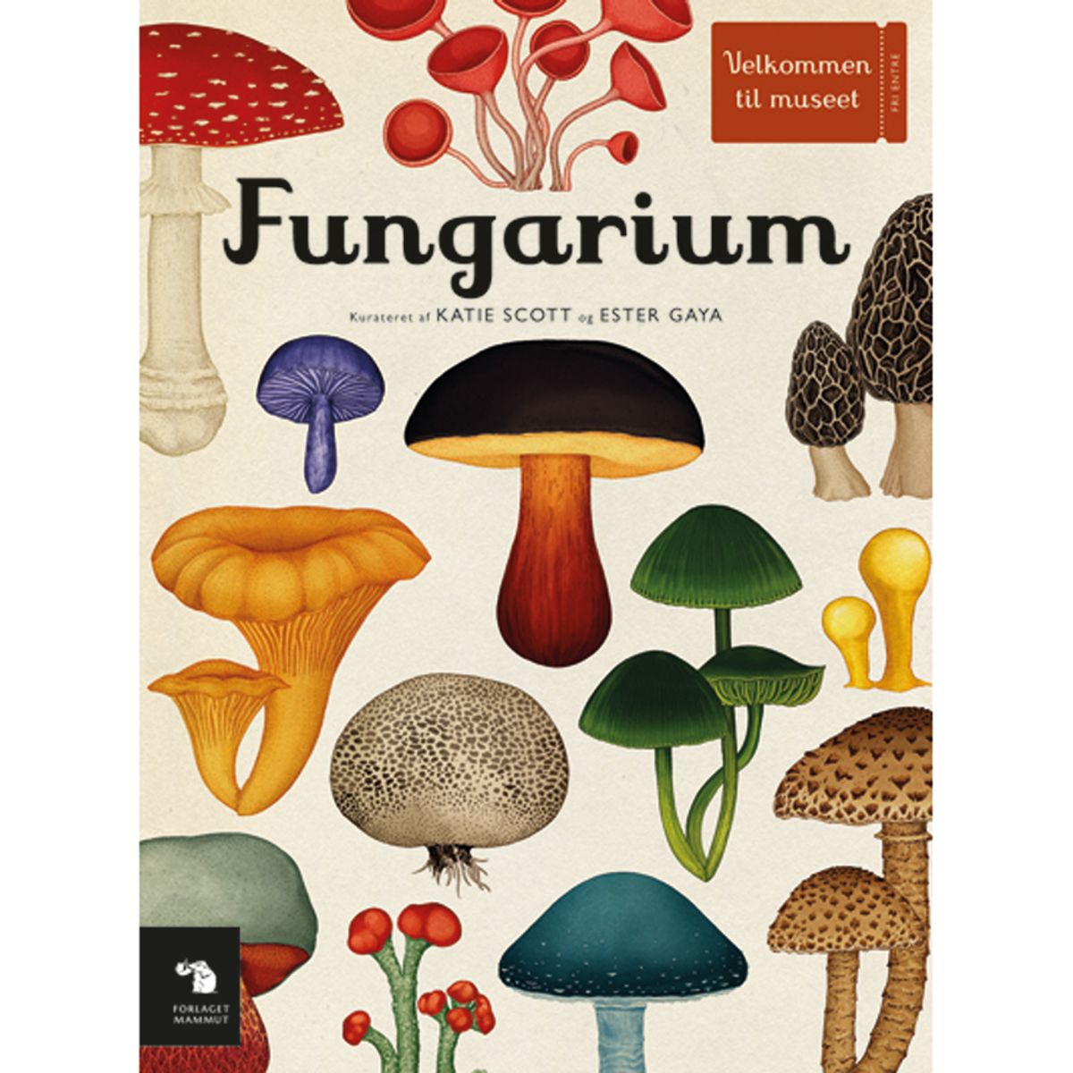 Fungarium (One size)