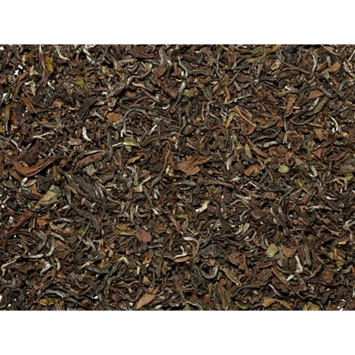 Avongrove Tea Garden Darjeeling 1 kg Øko