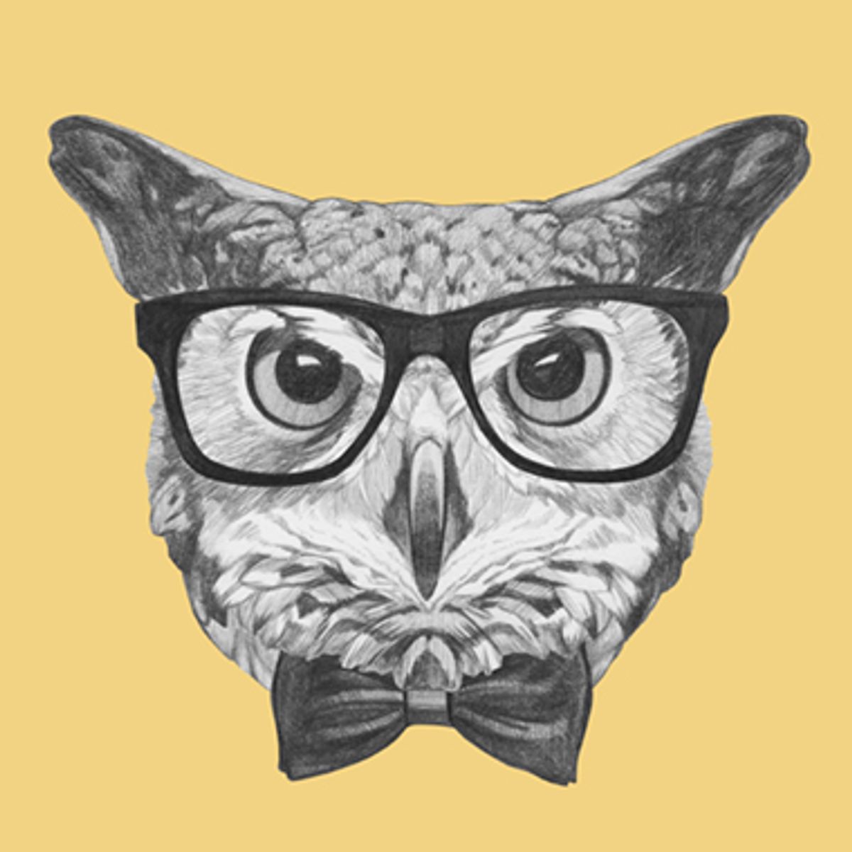 Ordinary Owl af Illux