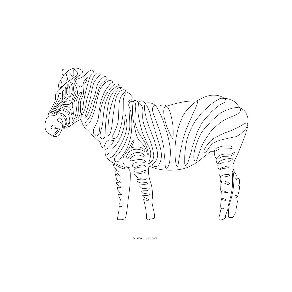 Zebra af Pluma Posters