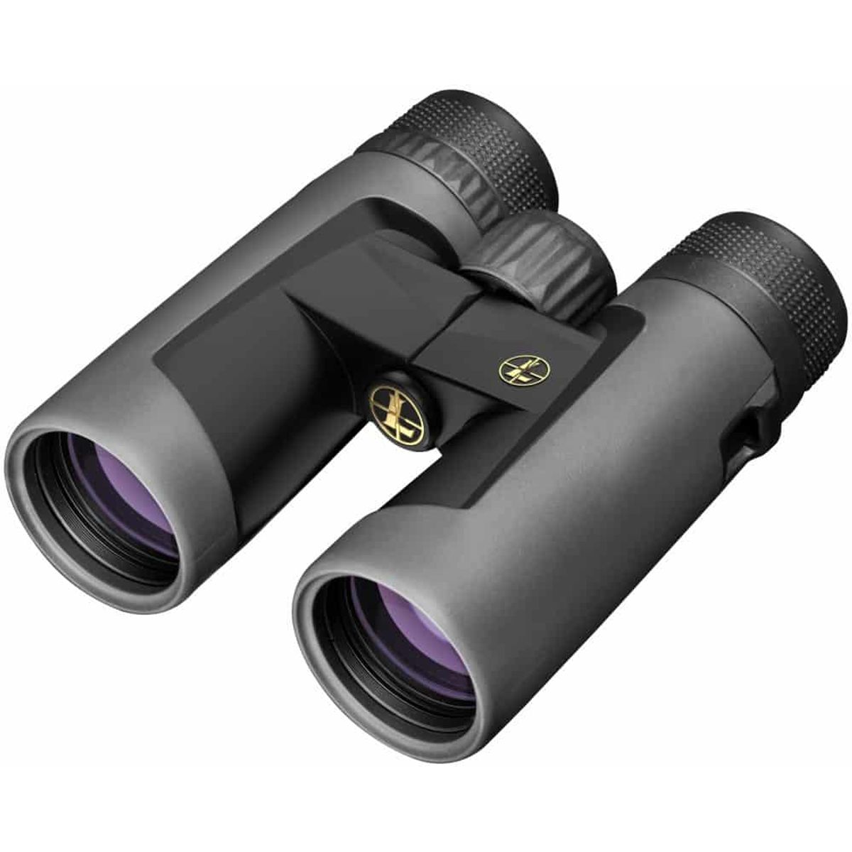 Leupold BX -2 ALPINE HD 10 x 42 shadow grey