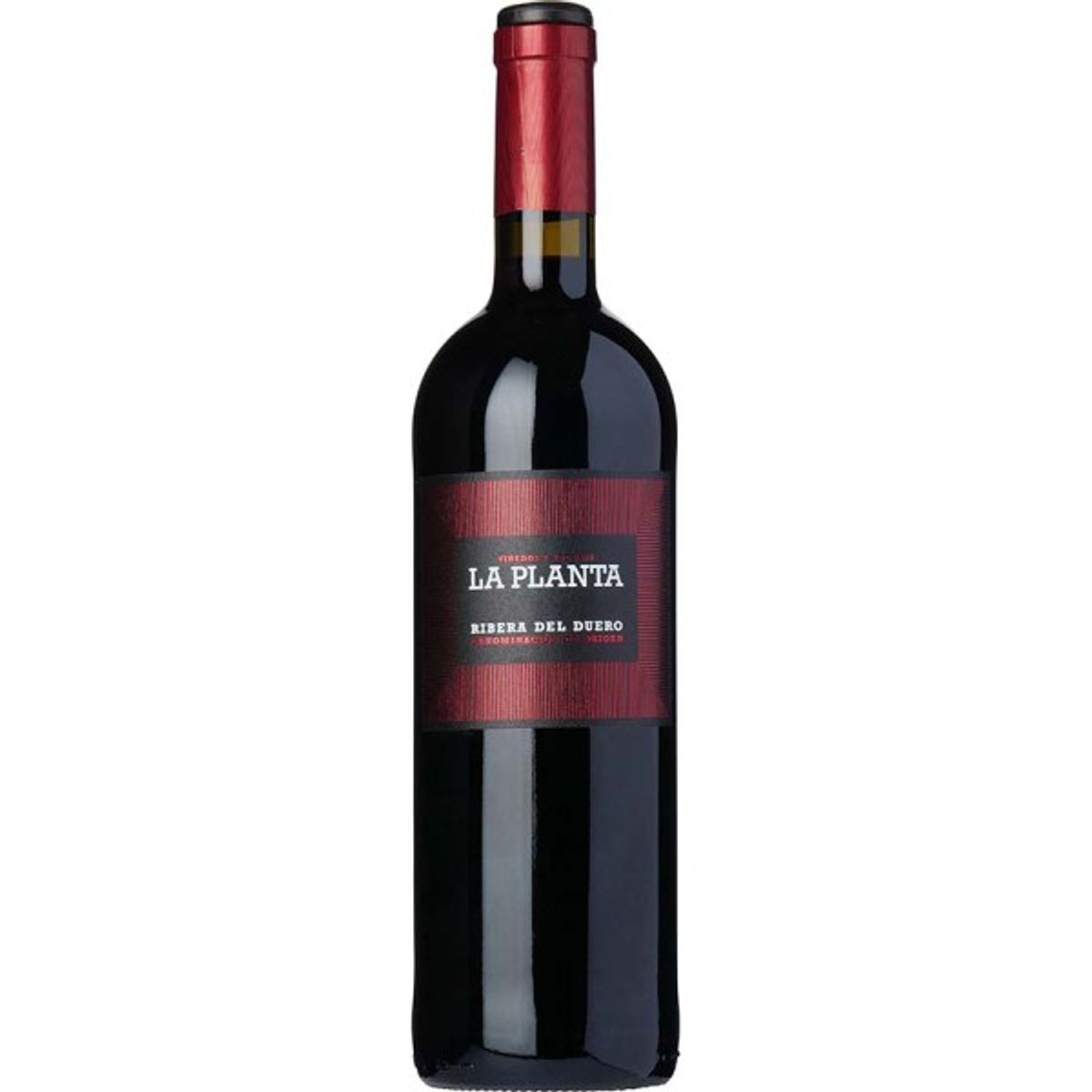 Ribera del Duero, La Planta 2023