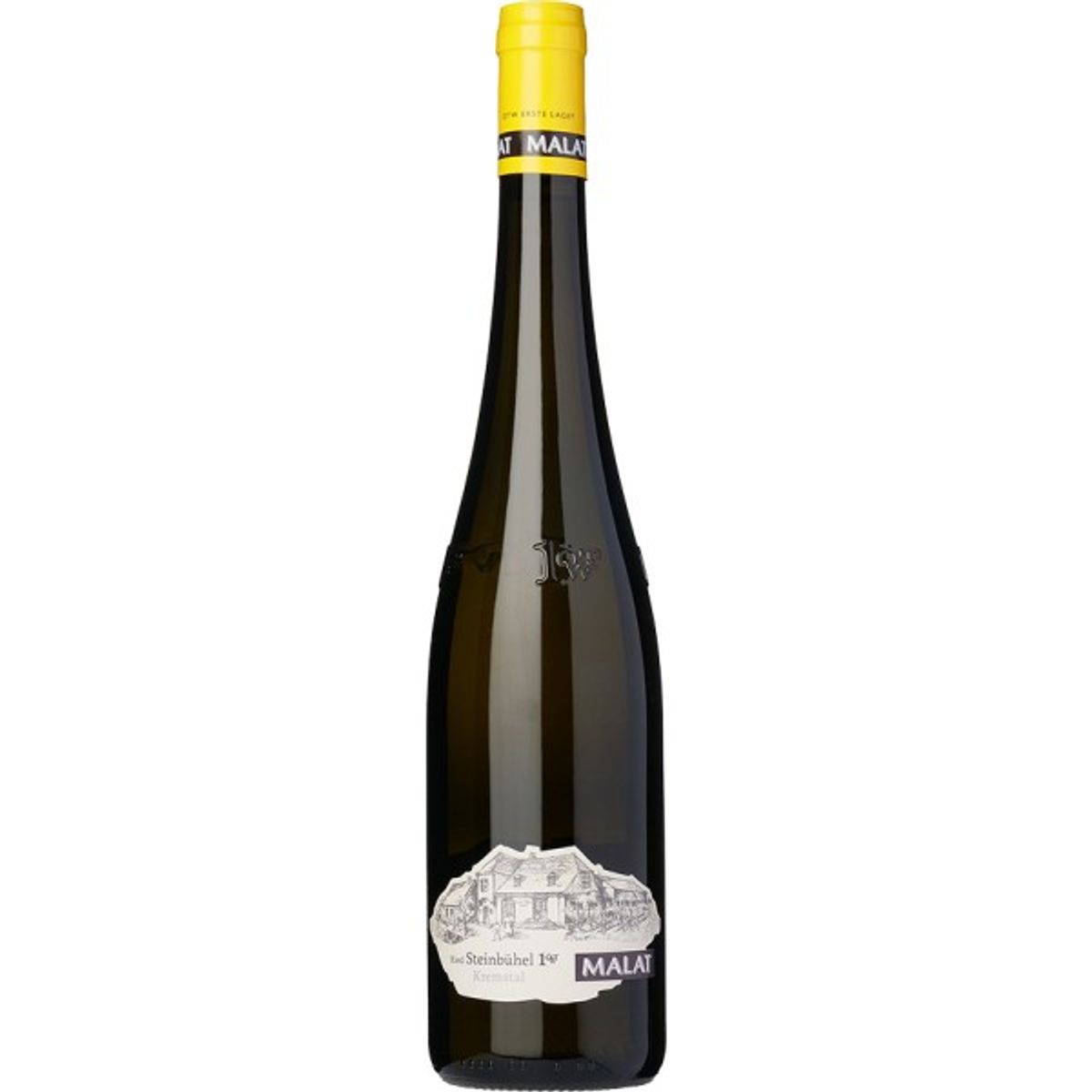 Riesling, Ried Steinbühel 1ötw 2020