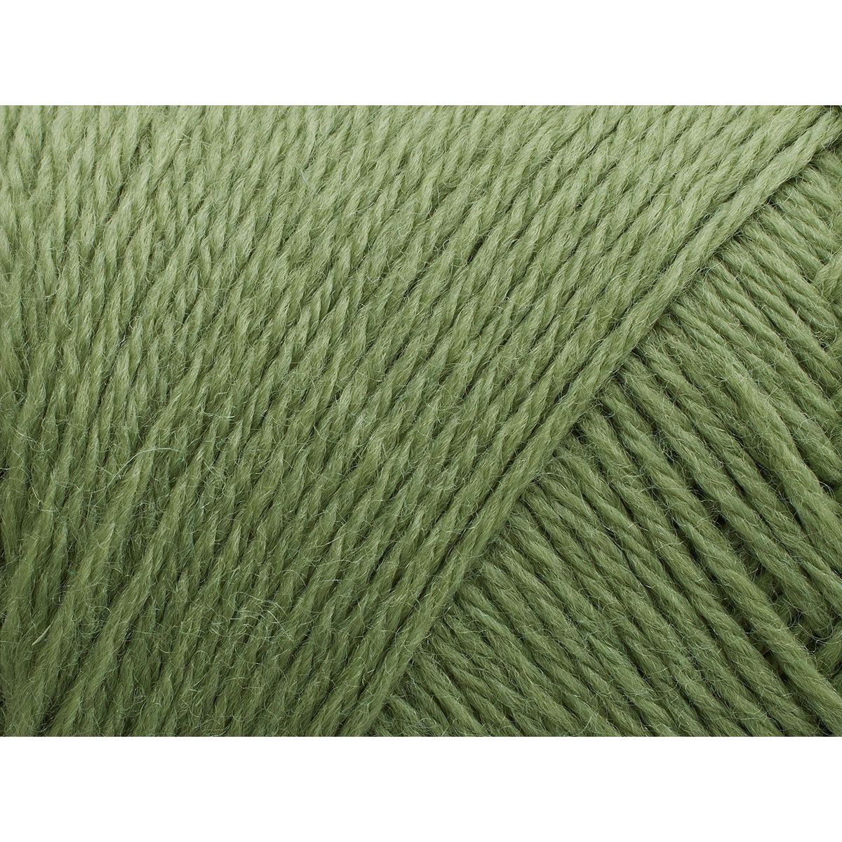 Arwetta | 243 Basswood Green