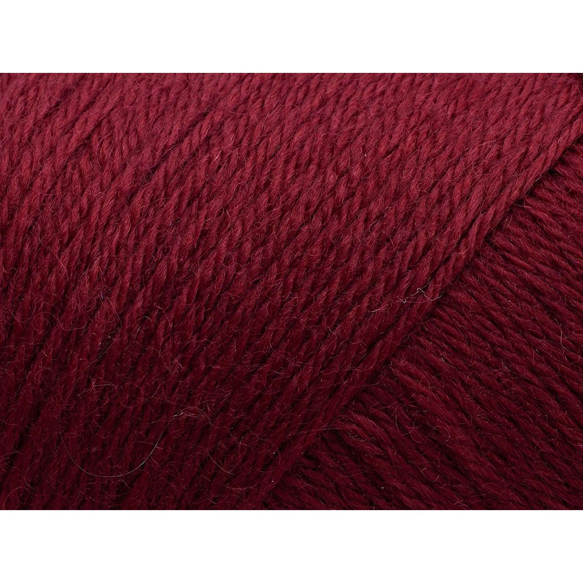 Arwetta | 140 Burgundy