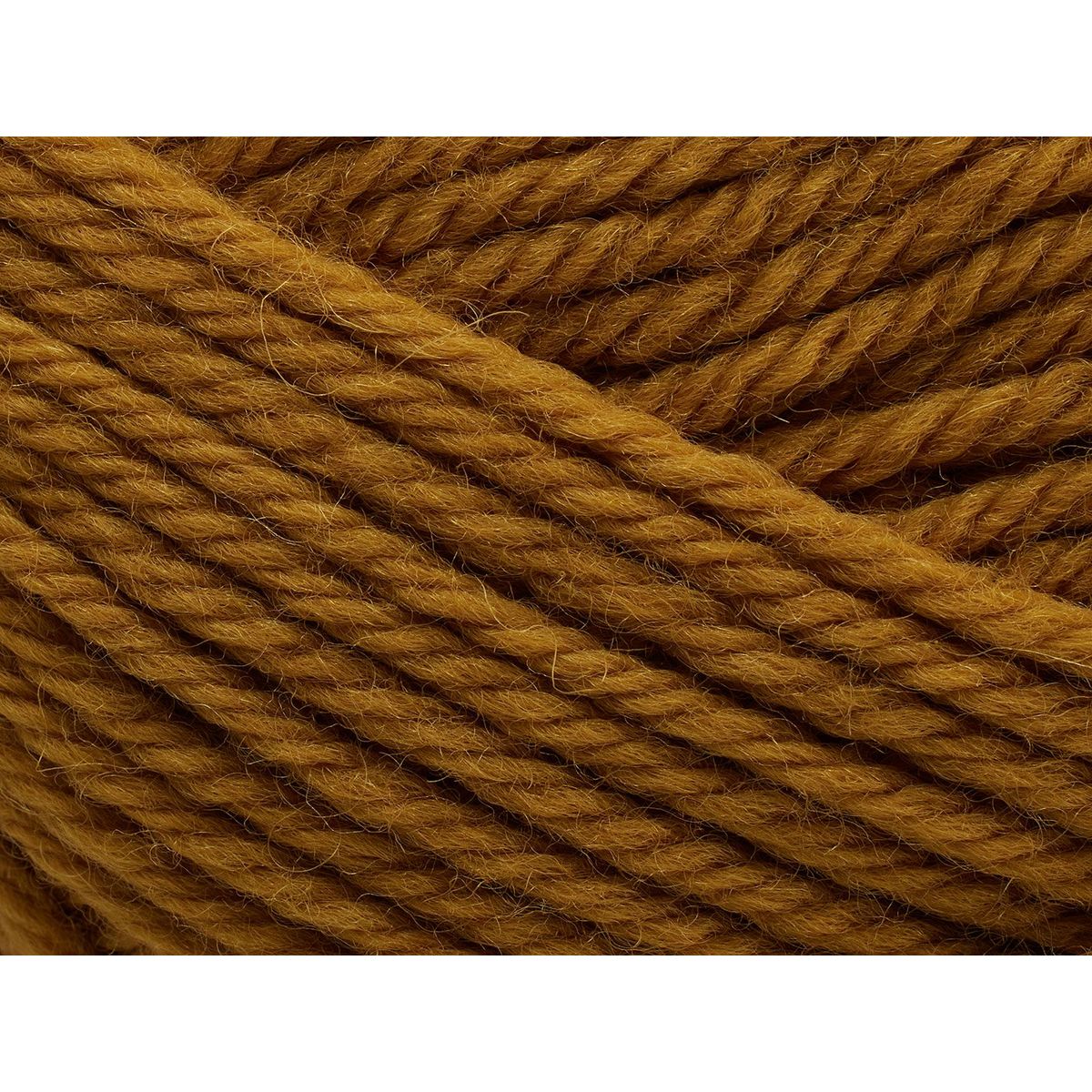 Peruvian | 136 Mustard