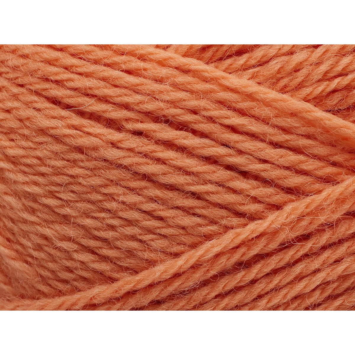 Pernilla | 254 Coral