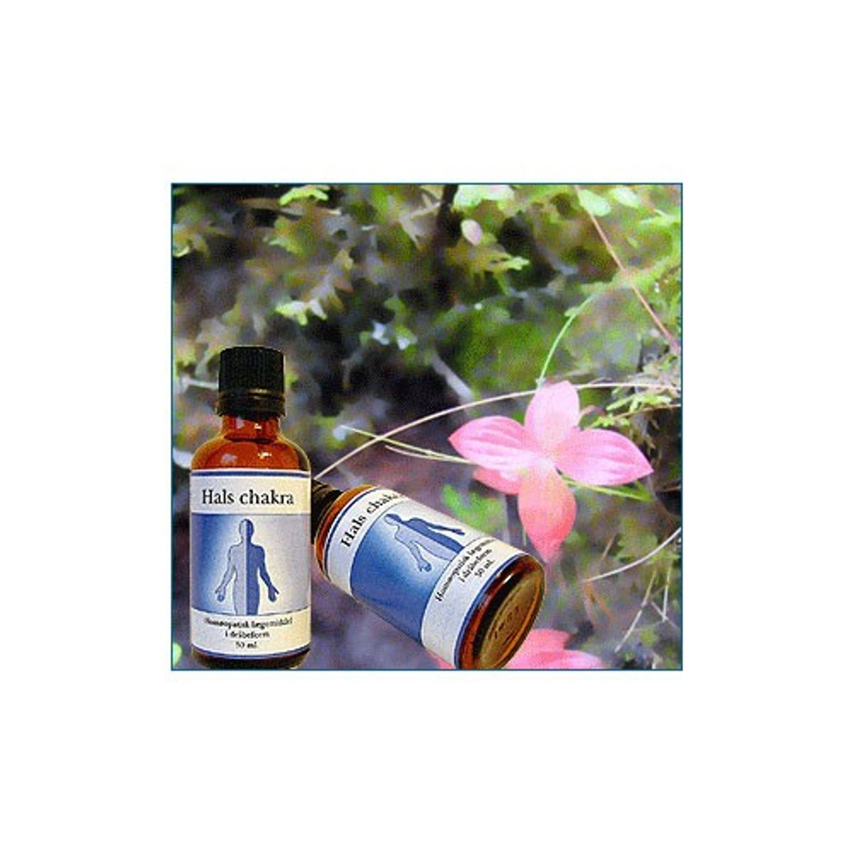 Hals chakra - 50 ml - Holistica