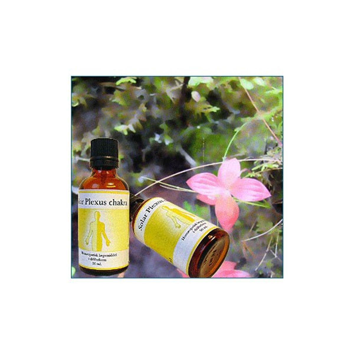 Solar plexus chakra - 50 ml - Holistica