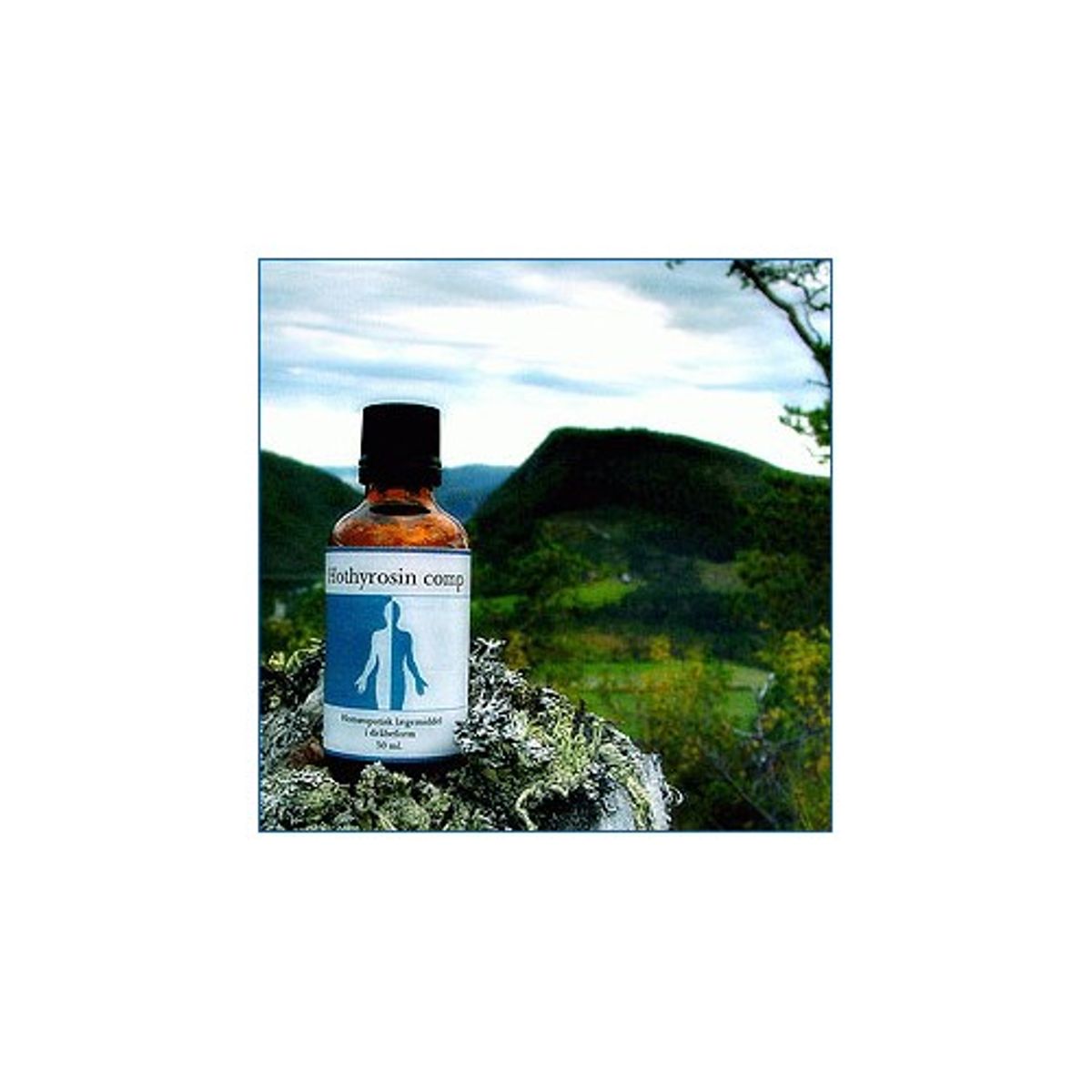 Hothyrosin comp. - 50 ml - Holistica