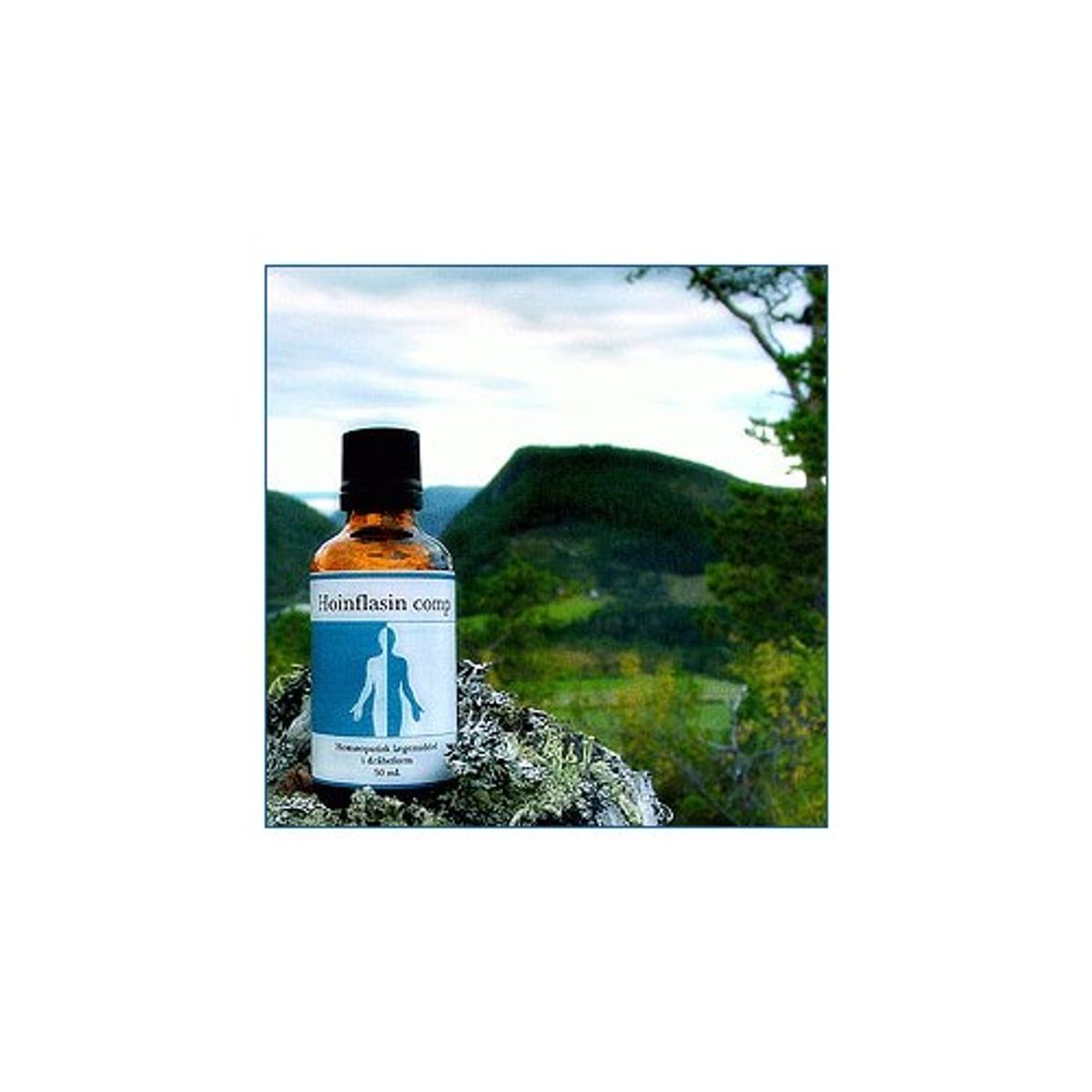 Hoinflasin comp. - 50 ml - Holistica