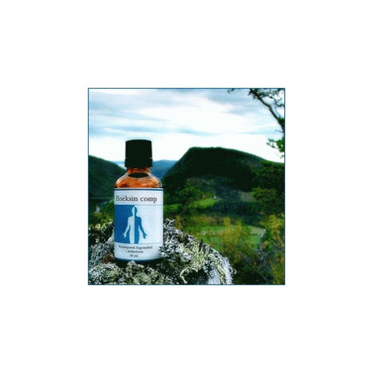 Hoeksin comp. - 50 ml - Holistica