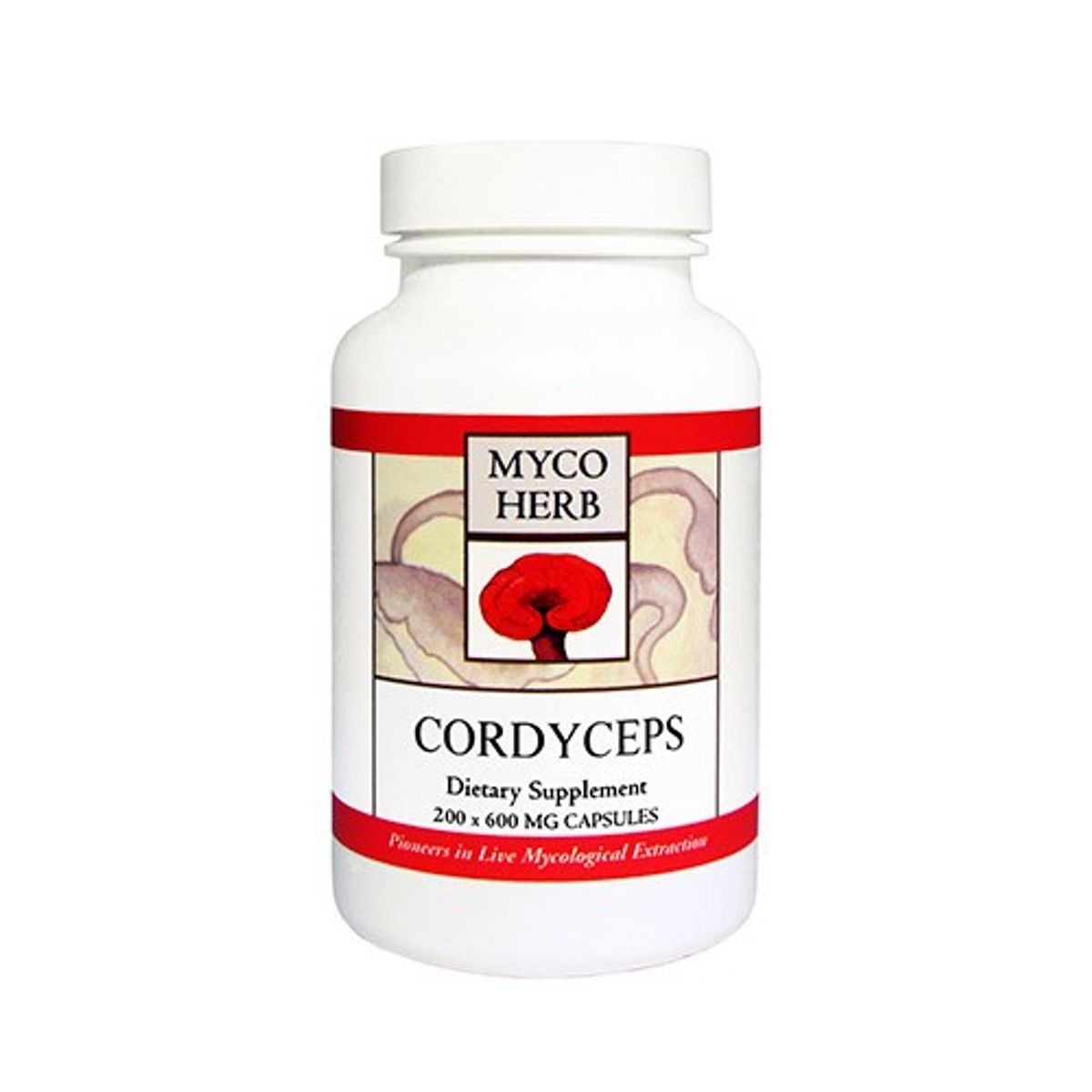 Cordyceps - 200 kapsler - MycoHerb