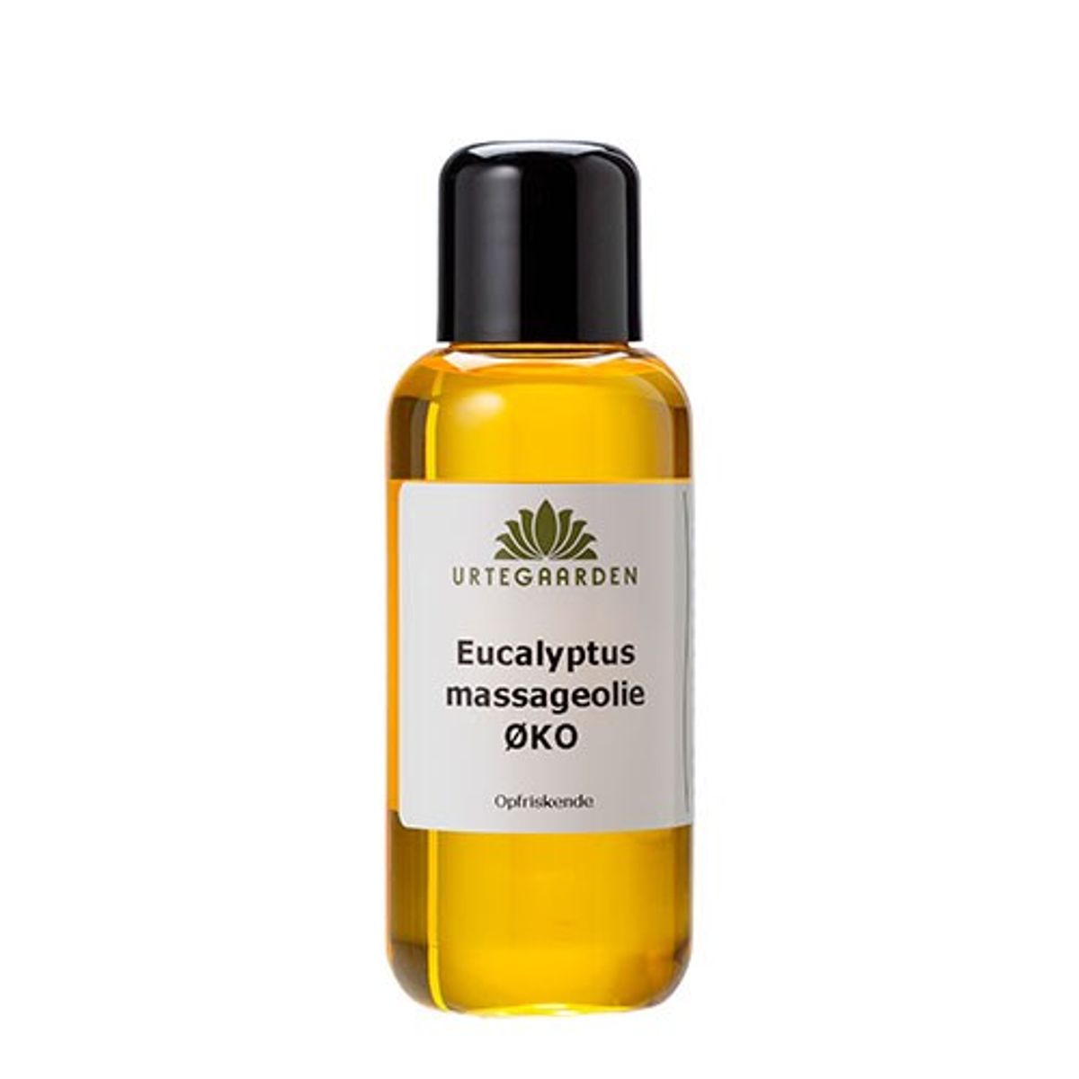 Eucalyptus massageolie KO - 100 ml