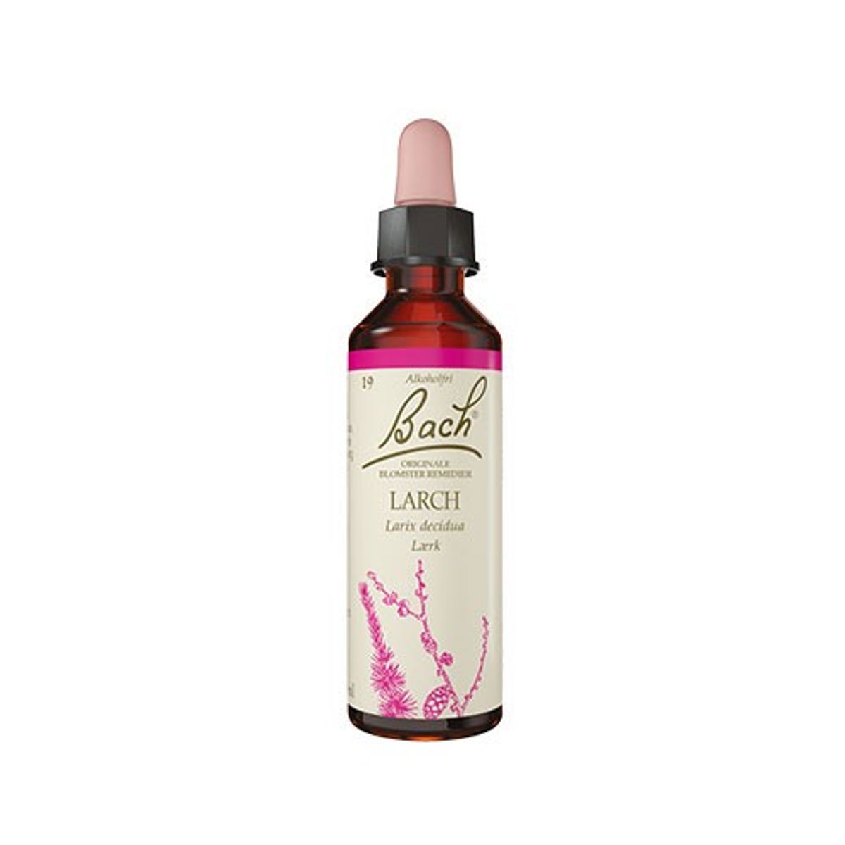 Bach Europæisk Lærk - 10 ml - Bach Originale Blomsterremedier