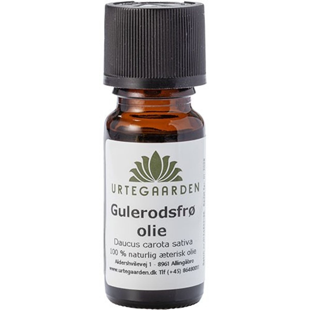 Gulerodsfrøolie - 10 ml