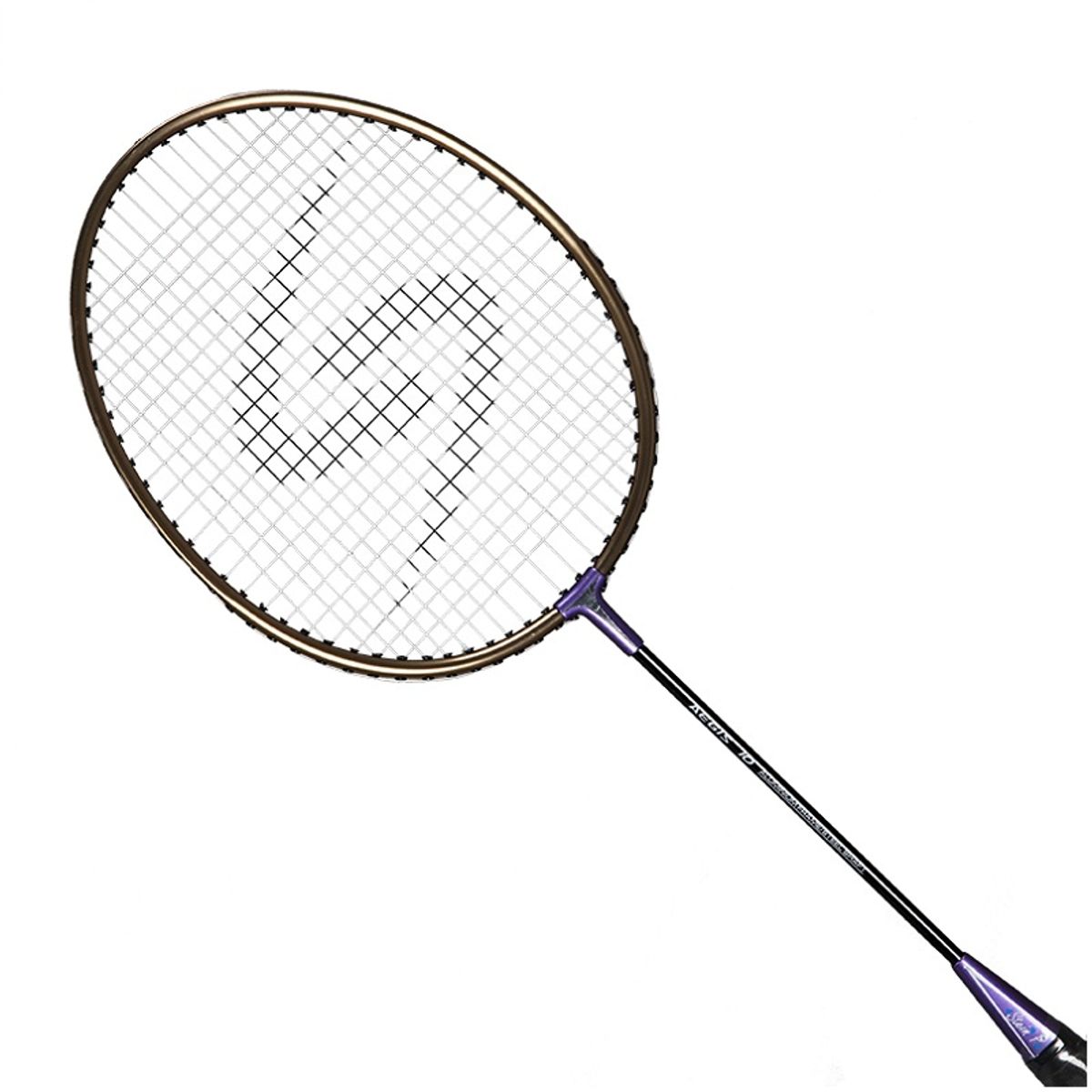 Stein P Aegis 10 Badminton Ketcher GOLDEN / PURPLE