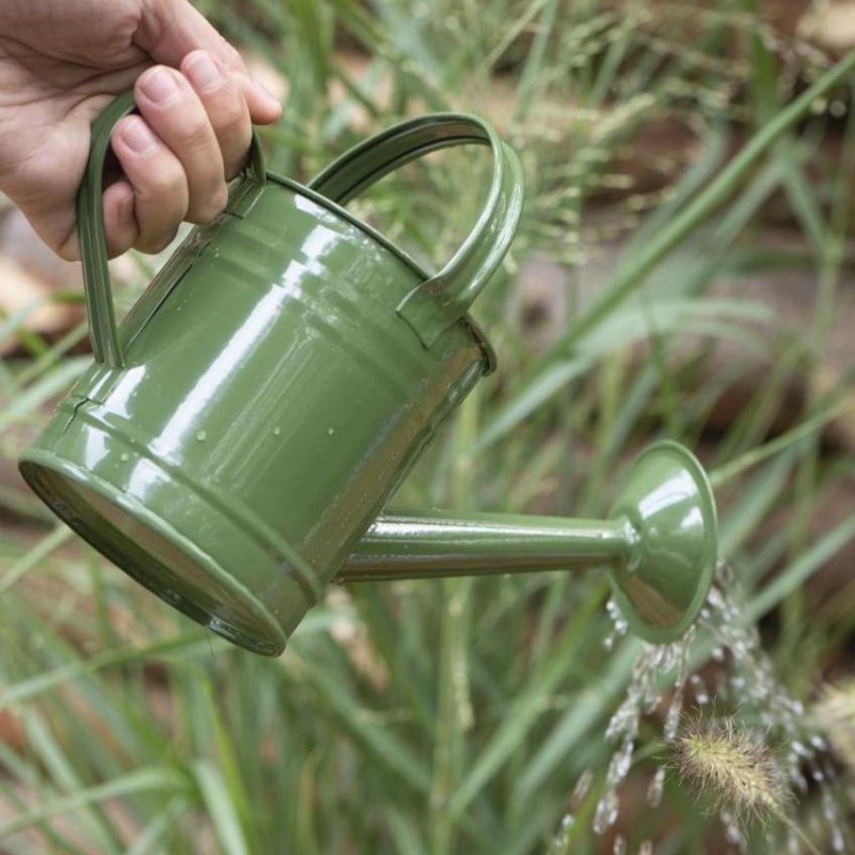 Vandkande grøn m/ spreder - Ib Laursen 0,8 ltr.