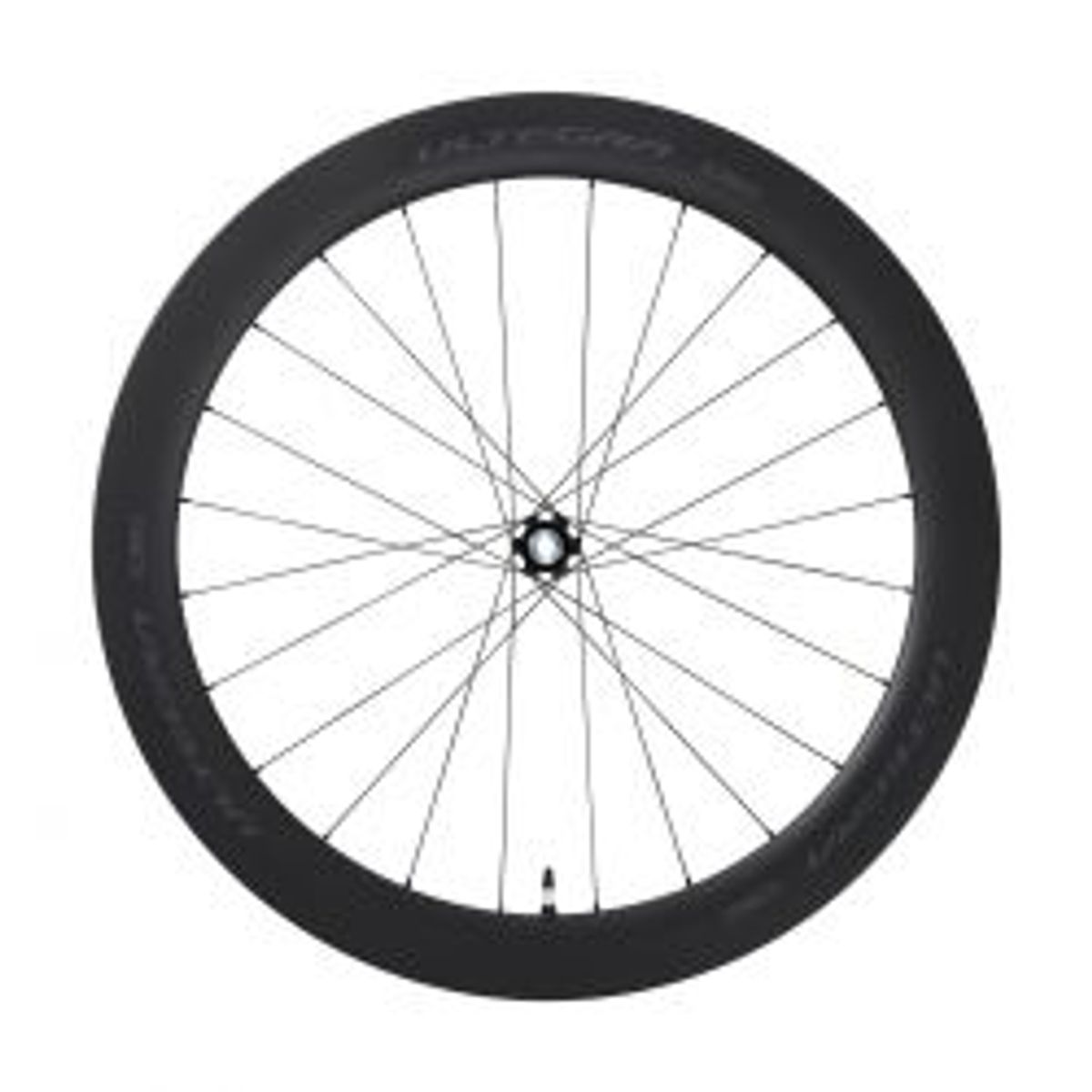 Shimano Wheel Front R8170-c60 Carb Tubeless Disc Br Ethru - Cykelhjul