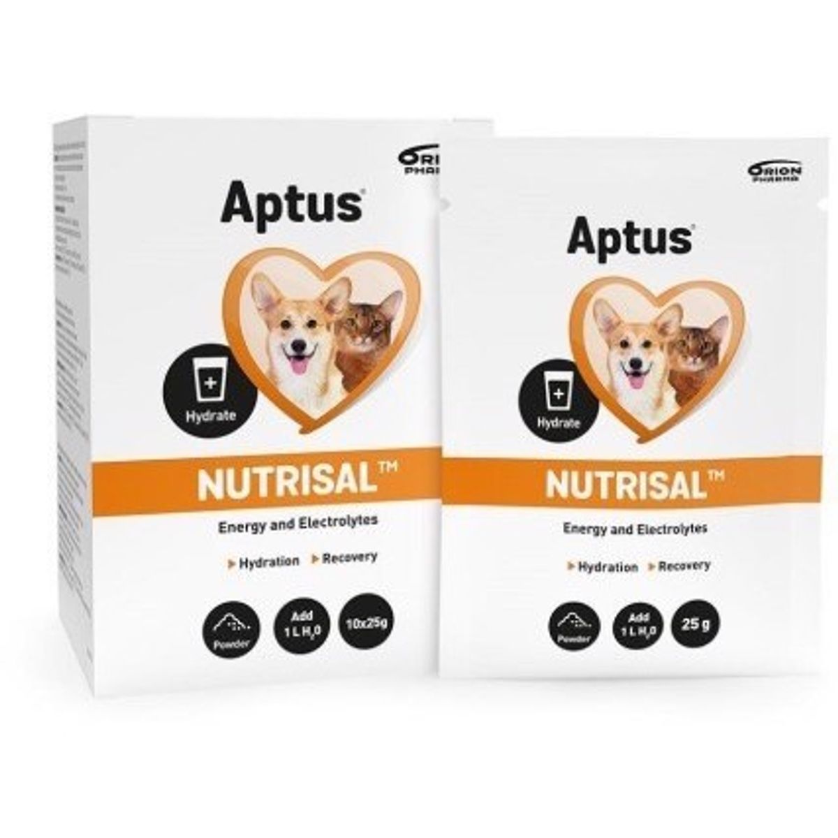 Aptus Nutrisal pulver til væske- og elektrolytbalancen, 10x25g