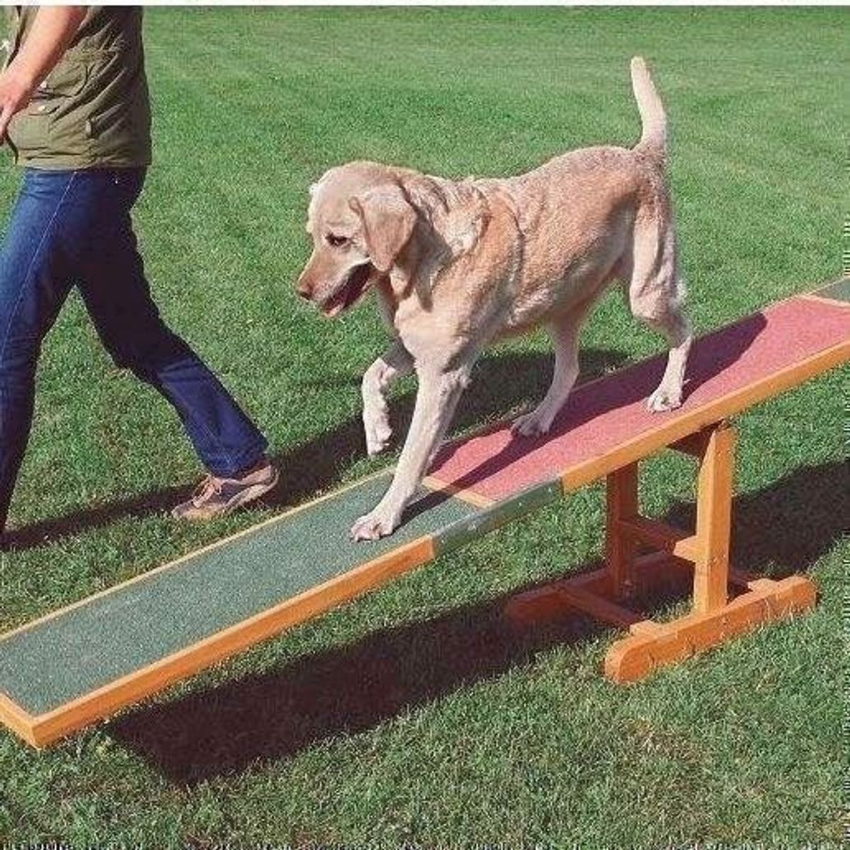 Agility vippe - balance bom til hunde