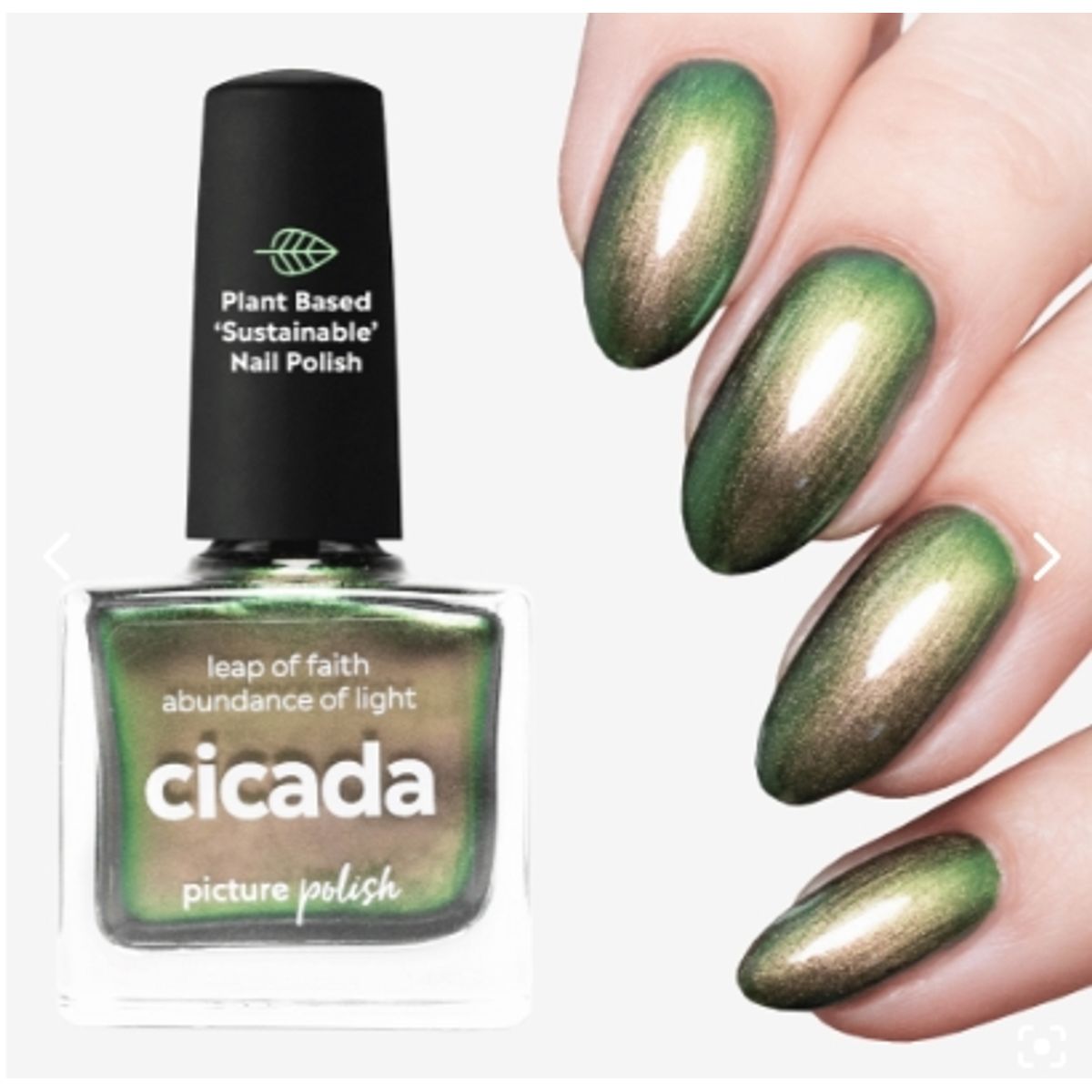 CICADA, Picture Polish