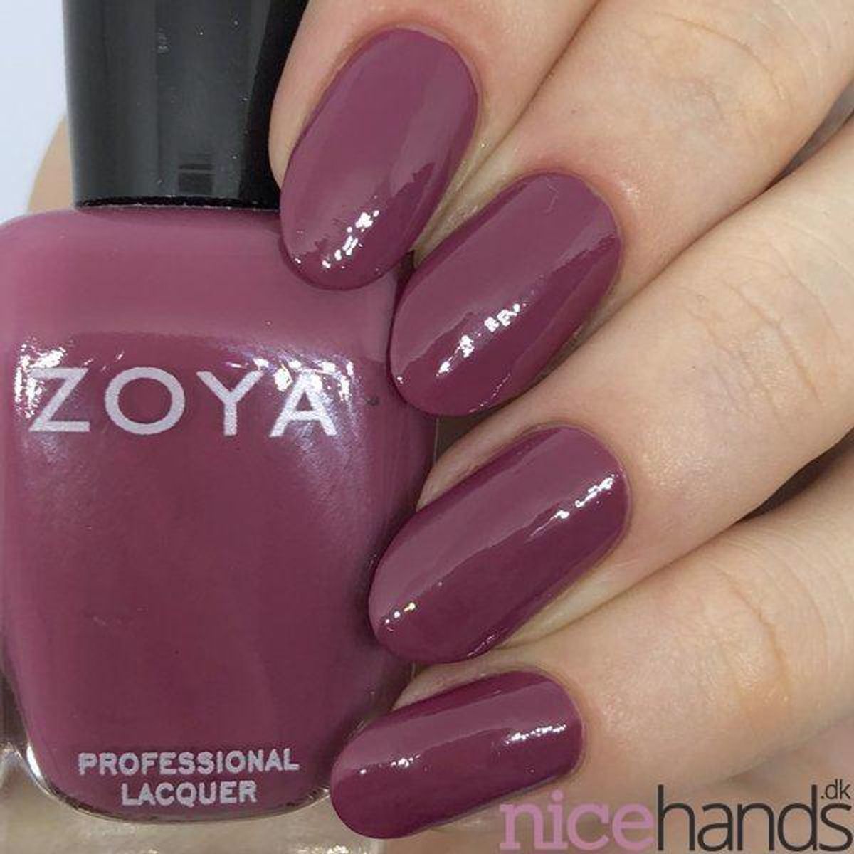 Paige, ZOYA (u)