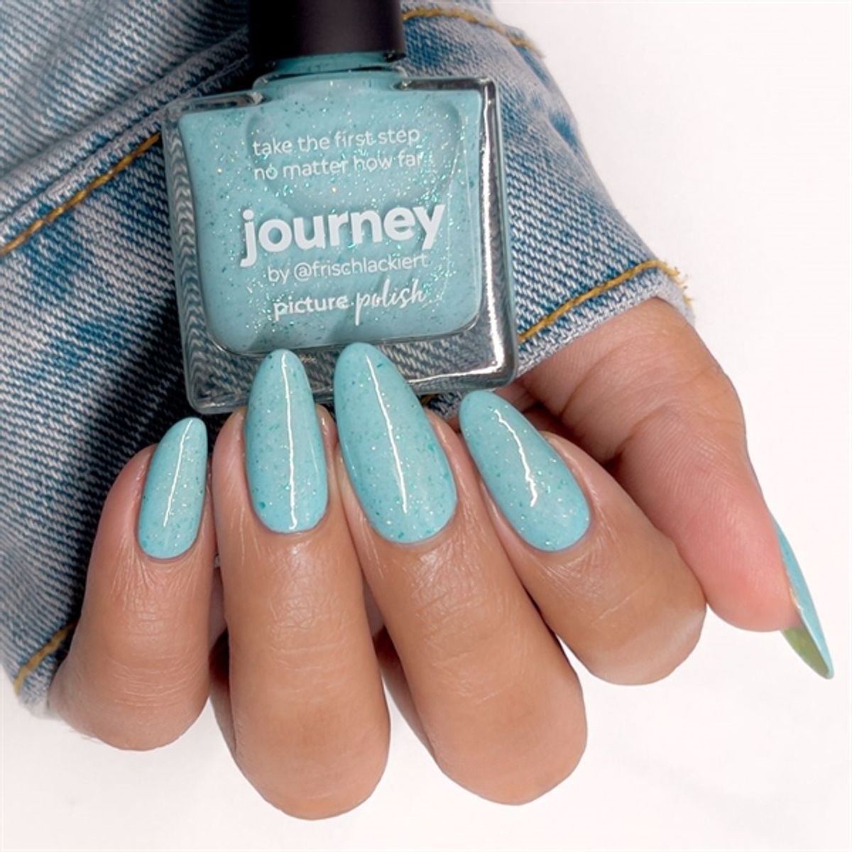 JOURNEY, Picture Polish