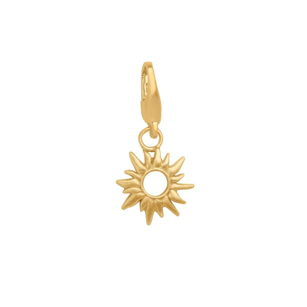 byBiehl Sun Wild Forgyldt Metalblanding Charm