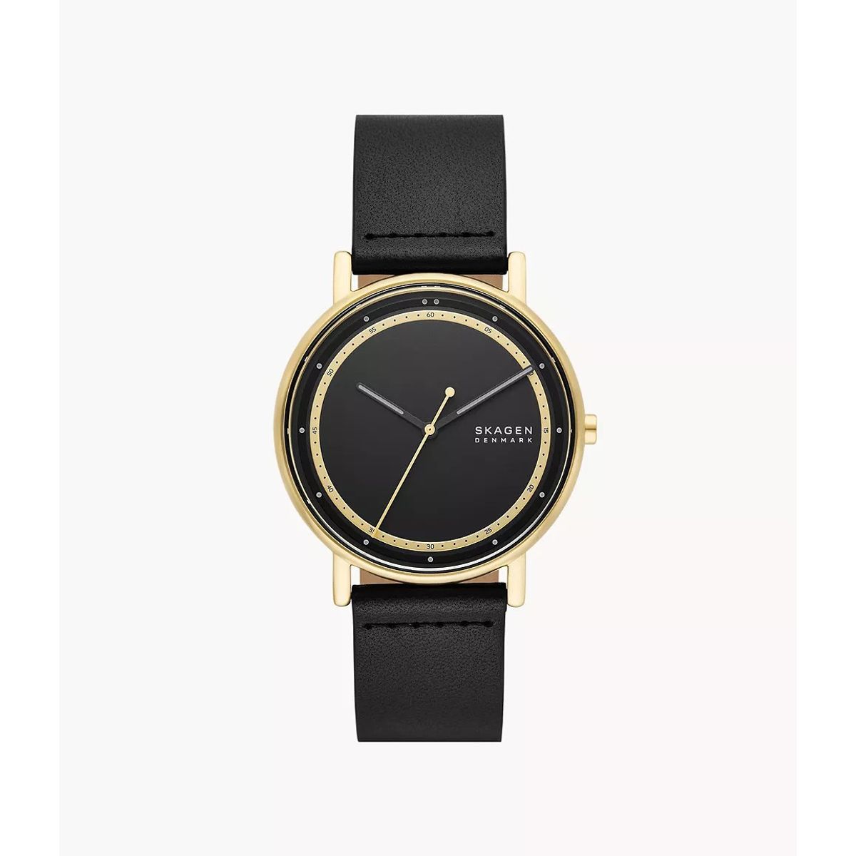 Skagen Herreur Signature SKW6897