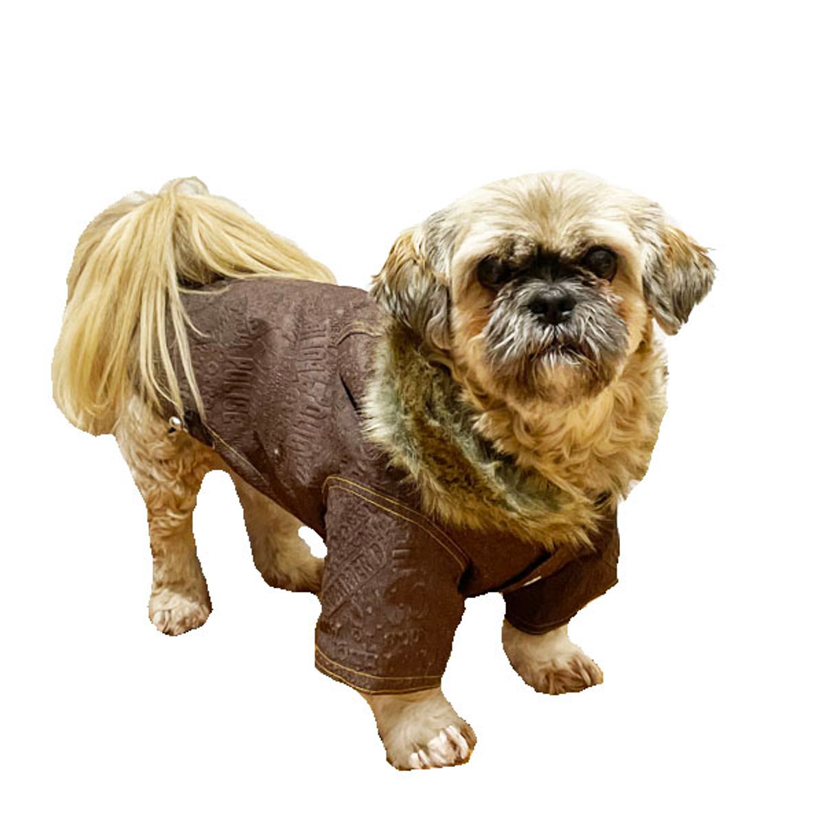 Denim Design hundejakke brun-XL