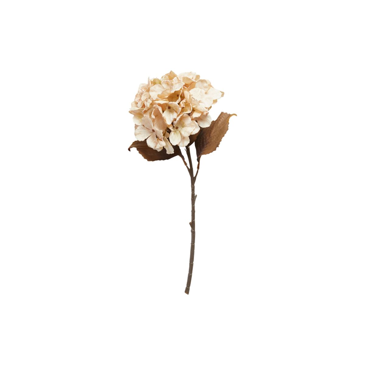 HORTENSIA STILK BEIGE