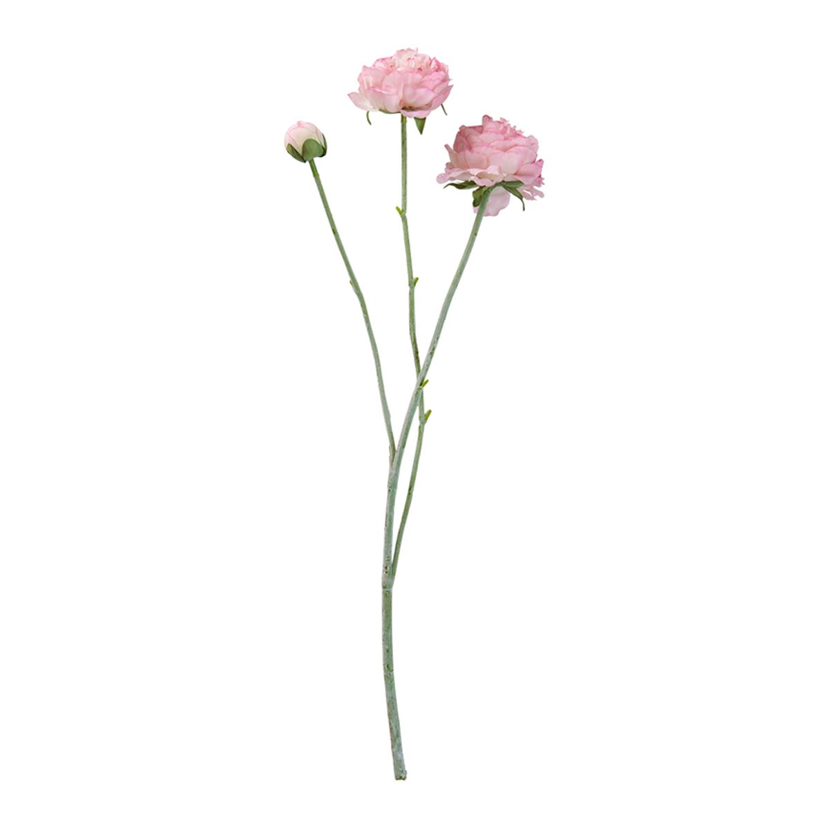 RANUNKEL STILK ROSE H48CM