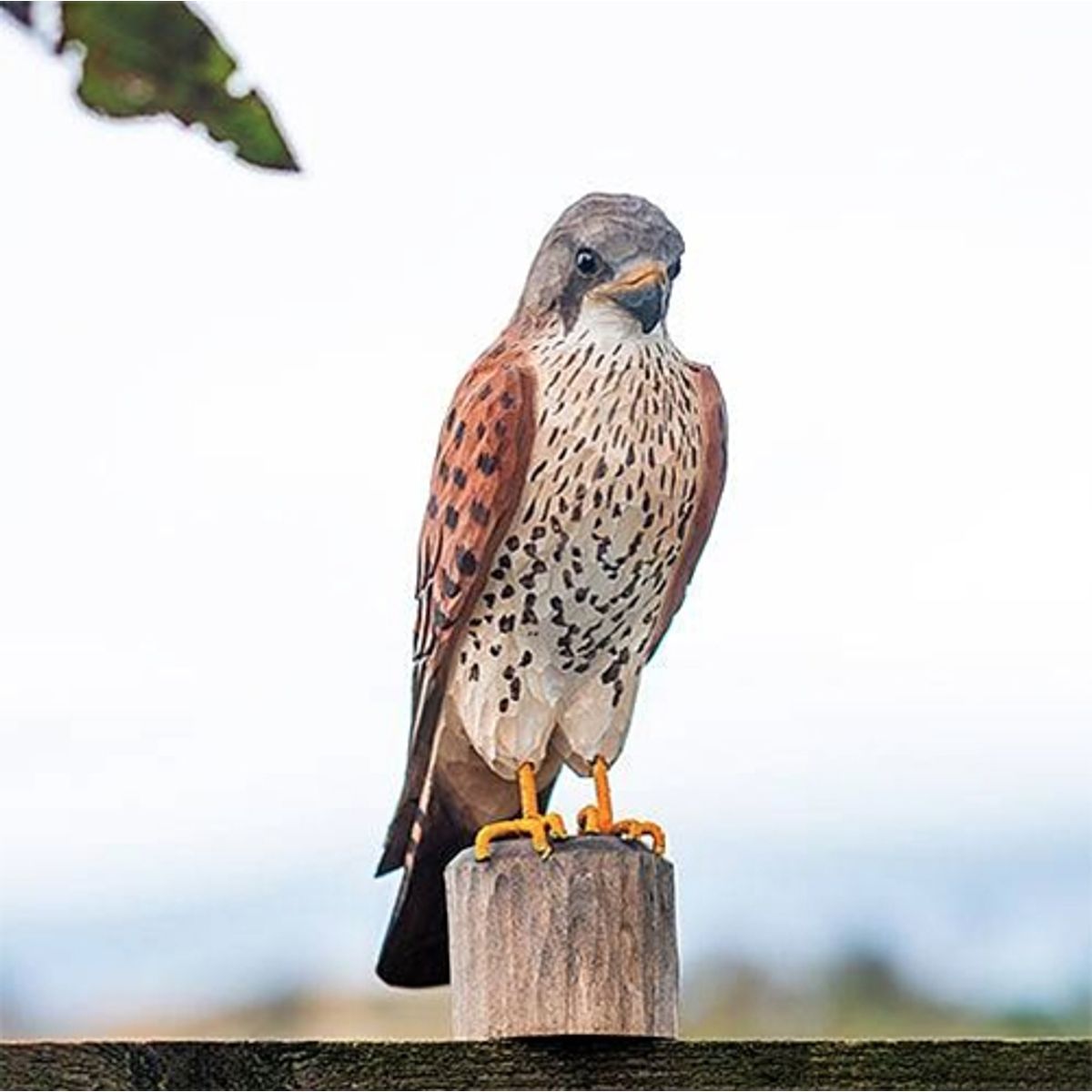 Wildlife Garden - DecoBird - Tårnfalk