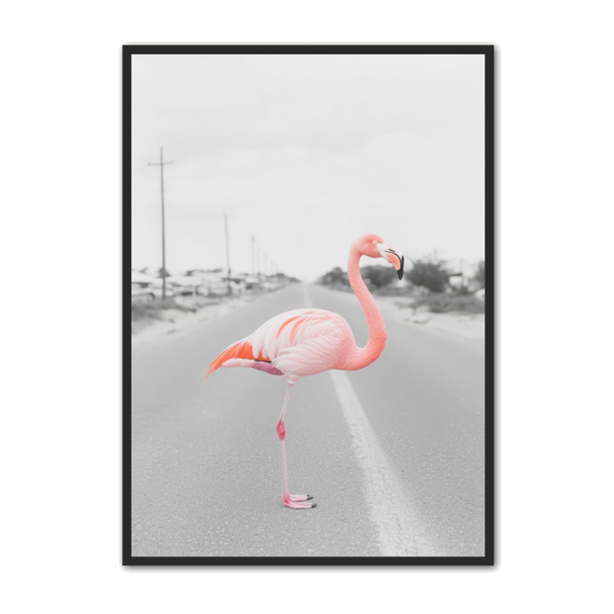 Flamingo Plakat 13