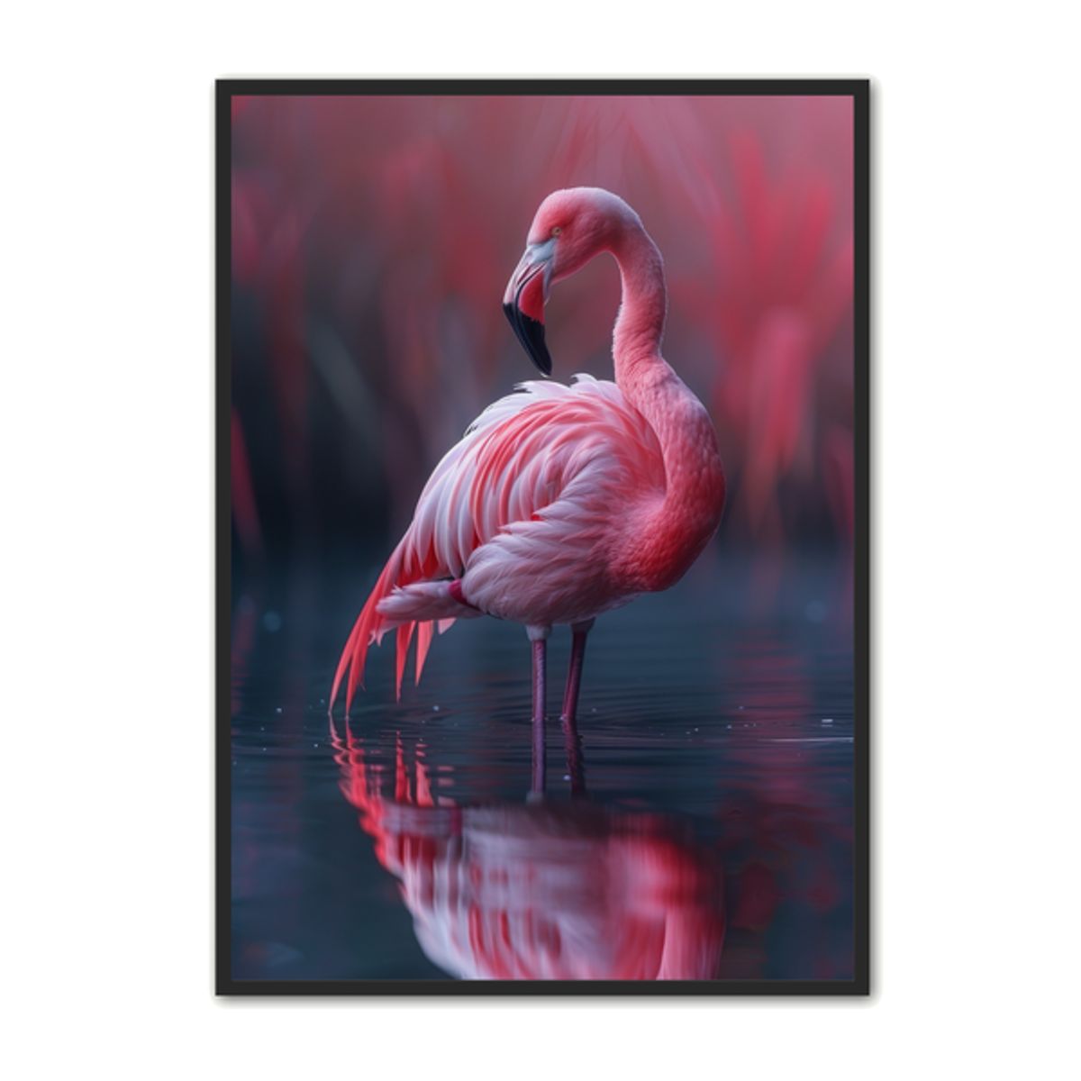 Flamingo Plakat 9 - Dyreplakater