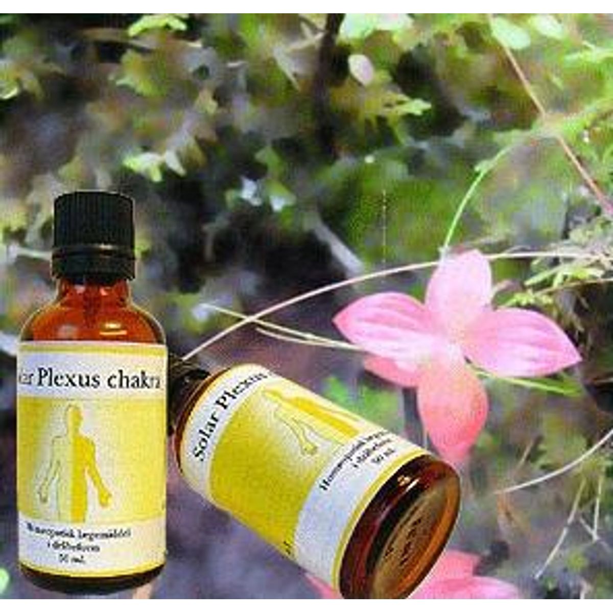 Chakra Solar Plexus, 50ml.