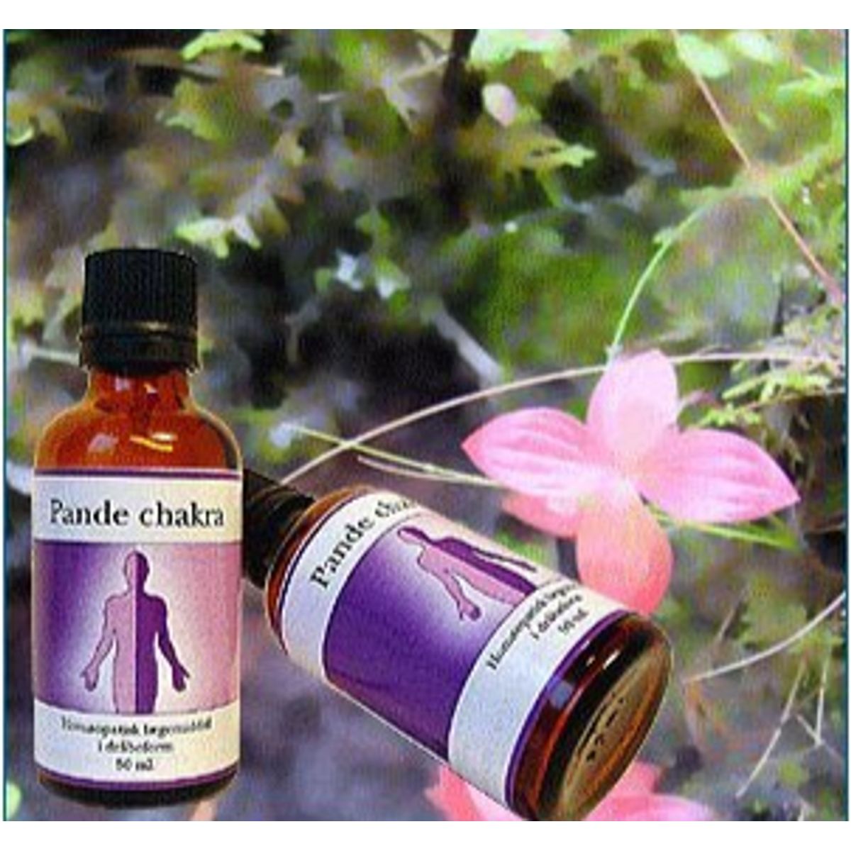 Holistica-Medica Pande chakra, 50ml