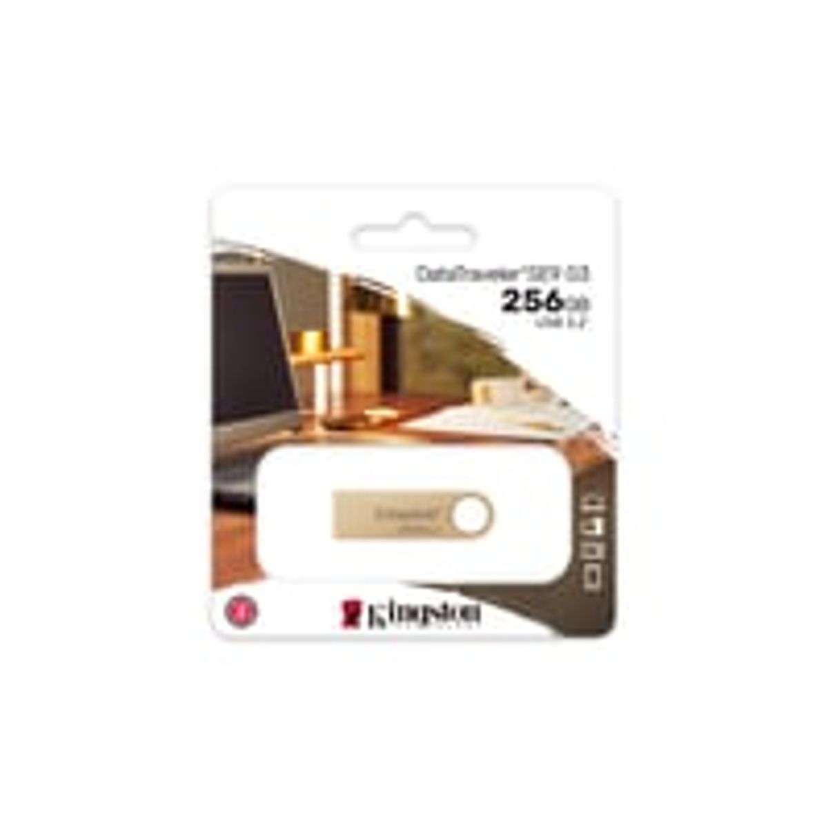 256GB USB 3.2 Gen 1 DataTraveler SE9 G3, 220MB/s, metal - Kingston