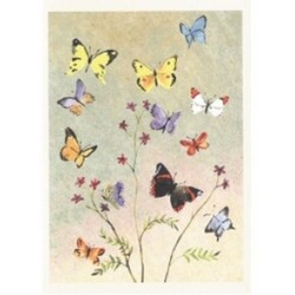 Two Bad Mice Greeting Cards Butterflies - Kort