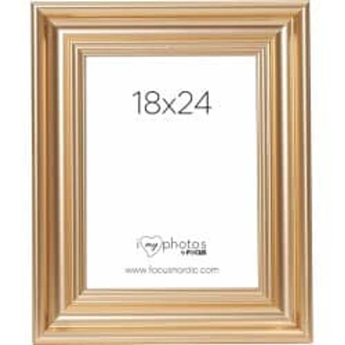 Focus Charleston Gold 18x24 - Ramme