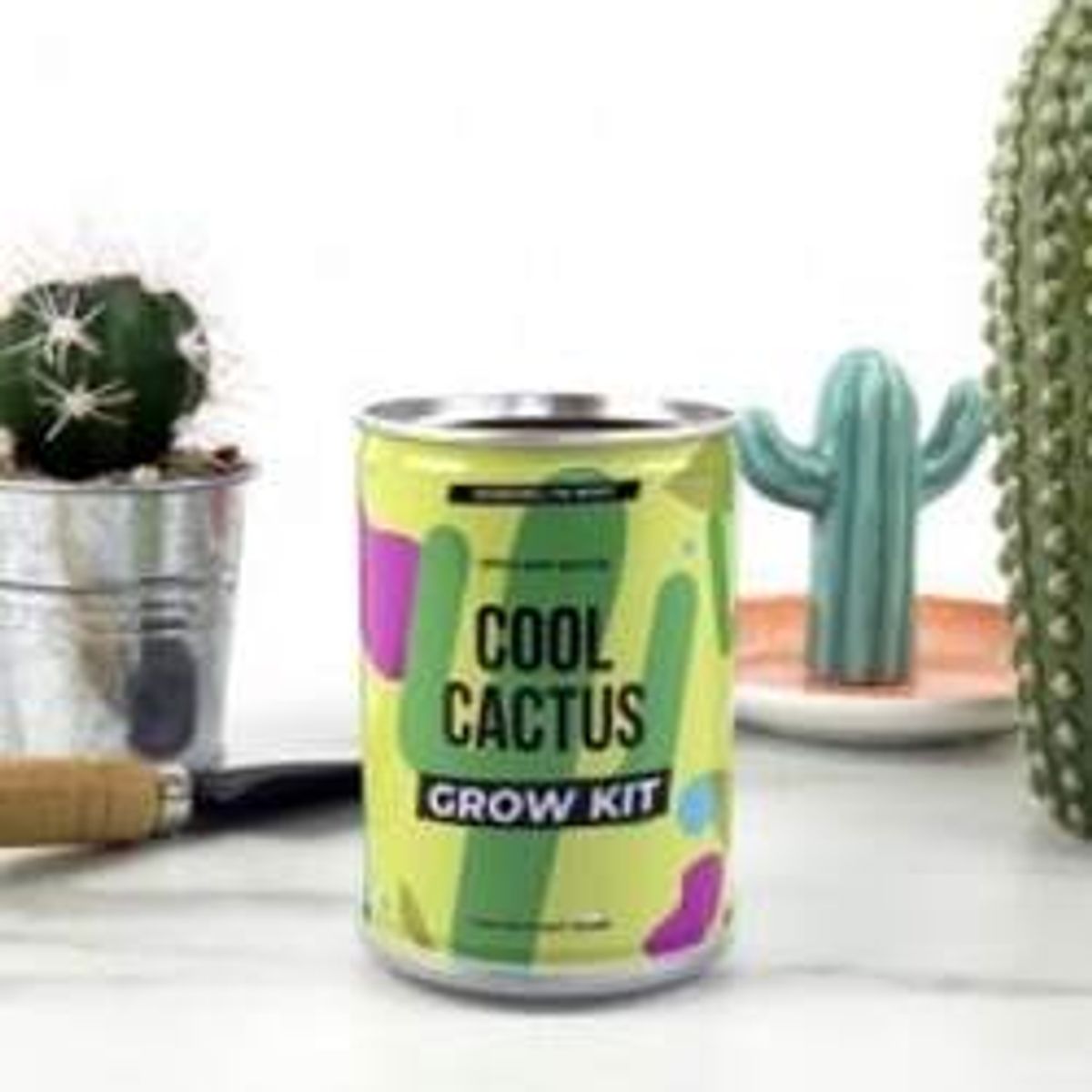 Gift Republic Tin Can Cool Cactus Kit