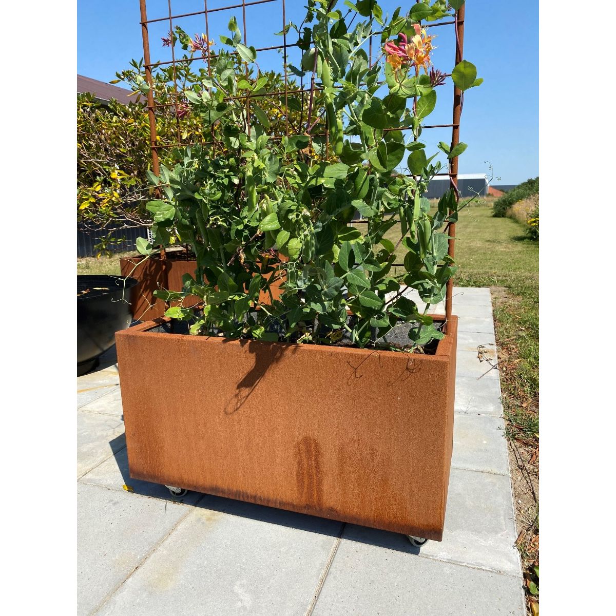 Plantekumme corten 80 x 40 x 40 cm m/espalier-Fødder-Med flamingo-Uden kapilærindsats