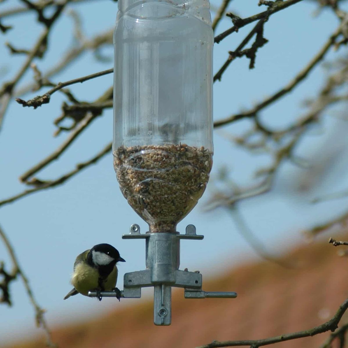 Foderautomat - Soda Bottle Bird Feeder