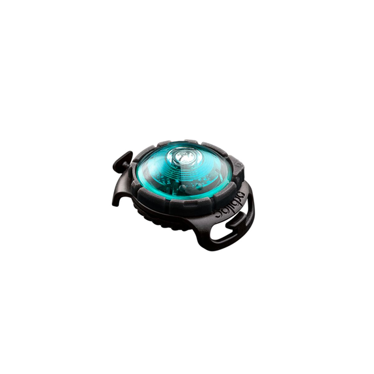 Orbiloc Dog Dual Turquoise