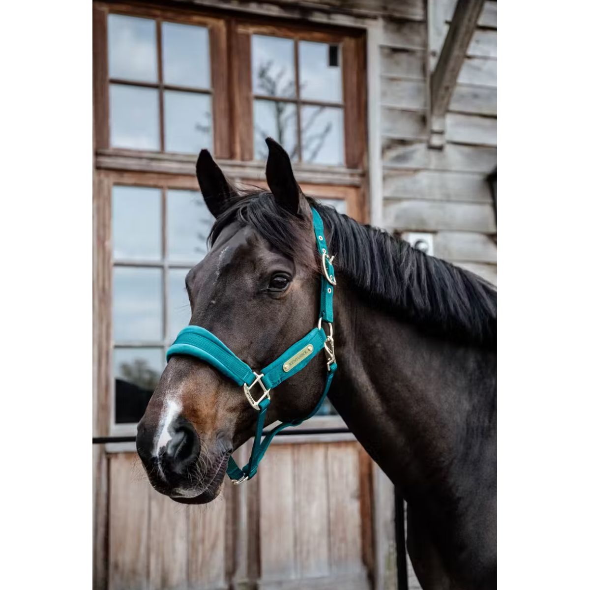 Kentucky Velvet Grime - Emerald - COB