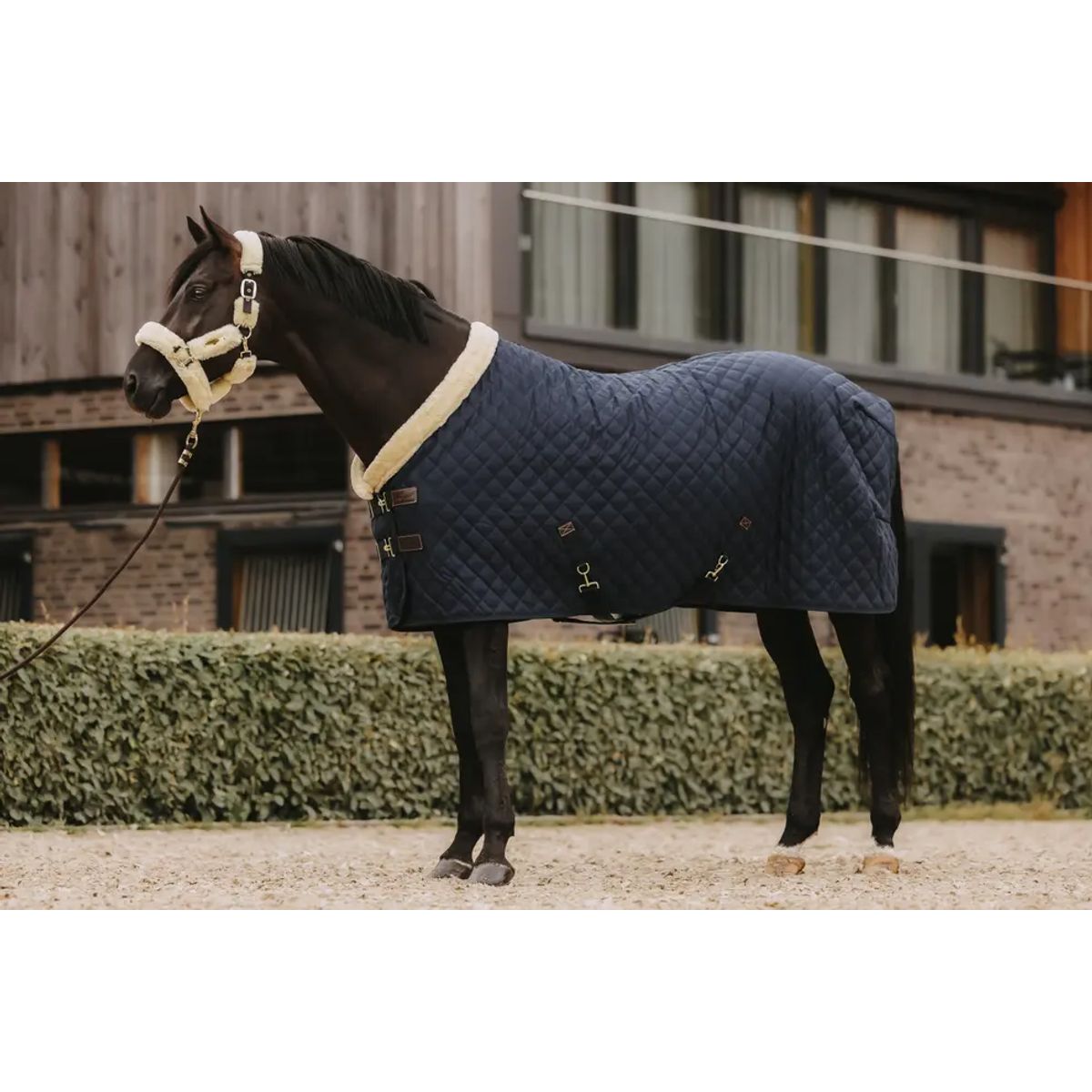 Kentucky Show Rug, 160 gram - Navy - 130 CM