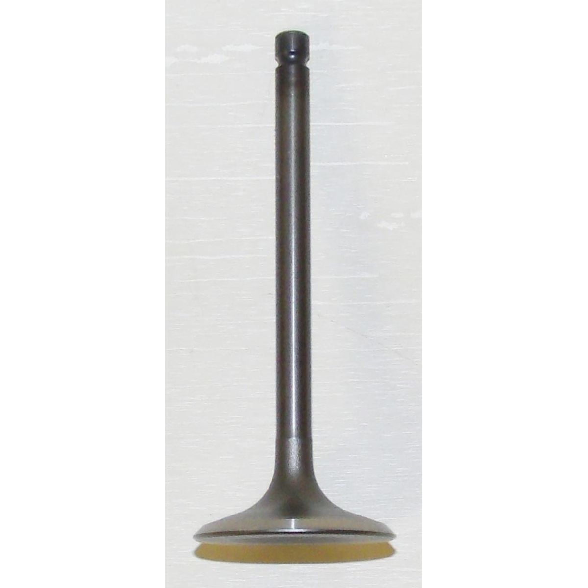 Intake Valve: Yamaha 350 / 400 87-14 - 1UY121110100S