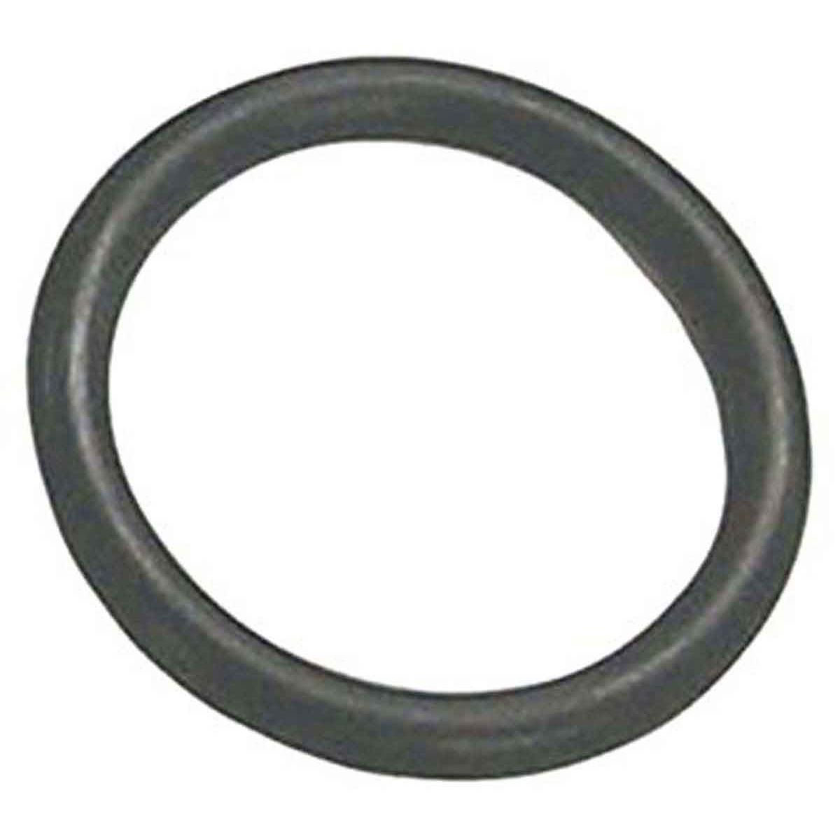 OMC lejehus O-ring - 0318717