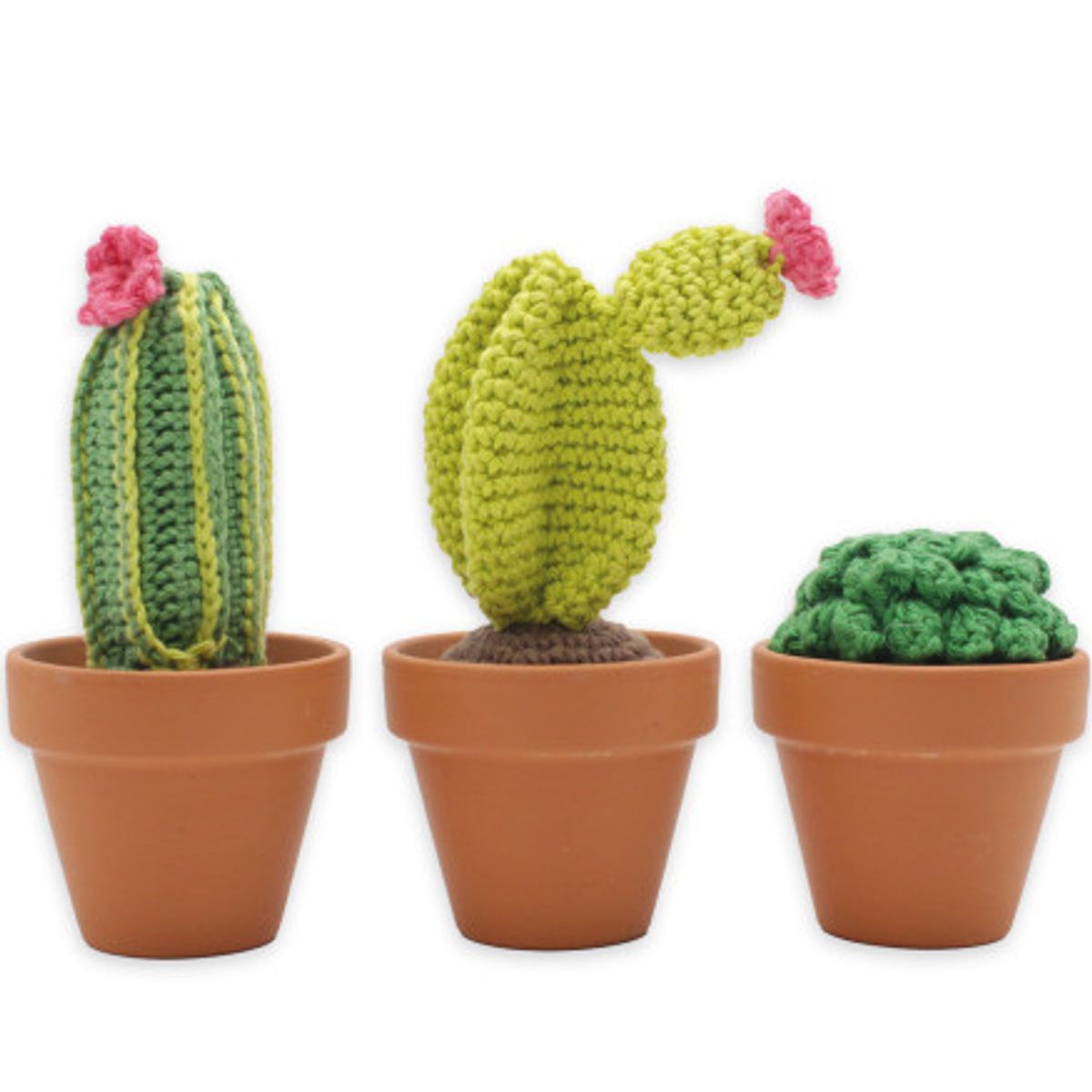 Lav selv/DIY sæt Cacti hækling